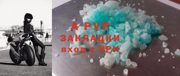 ECSTASY Лагань