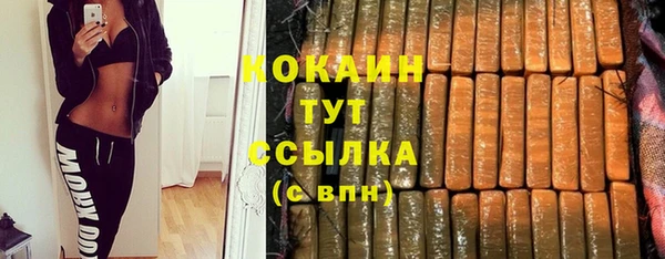 ECSTASY Лагань
